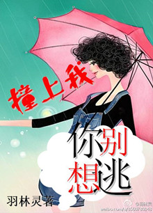 ײ����,�������