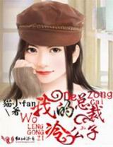 我的总裁冷公子