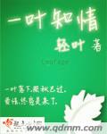 一叶知情