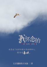 我怀念的txt下载