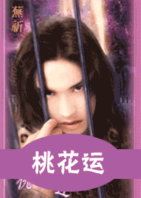桃花运(出书版)