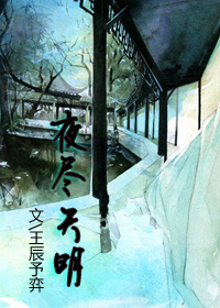 夜尽天明txt下载
