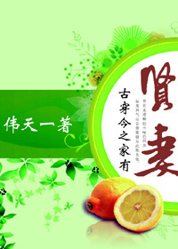 哑巴贤妻txt下载