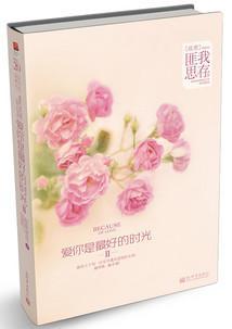 爱你是最好的时光