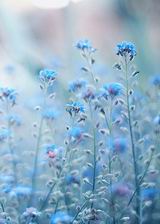 [�촩]�Ի���Ů������