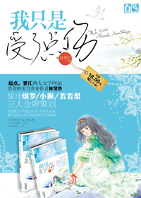 我只是受了点伤