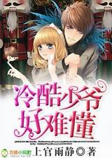 冷酷少爷好难懂!