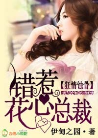 狂情蚀骨,错惹花心总裁