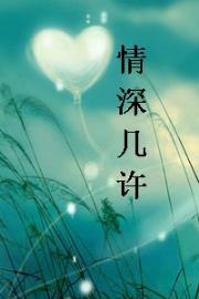 情深几许txt下载