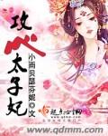 攻心太子妃txt下载