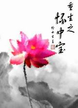 重生之怀中宝