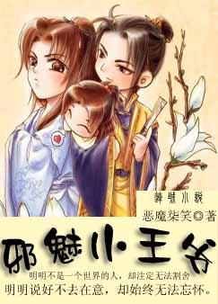 邪魅小王爷