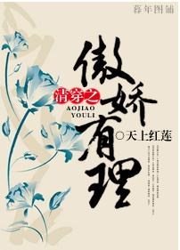 清穿之傲娇有理