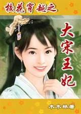 校花穿越之大宋王妃txt下载