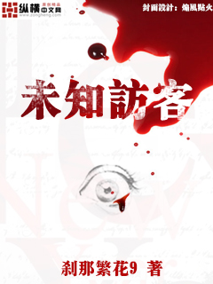 未知访客txt下载