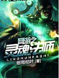 网游之灵魂法师
