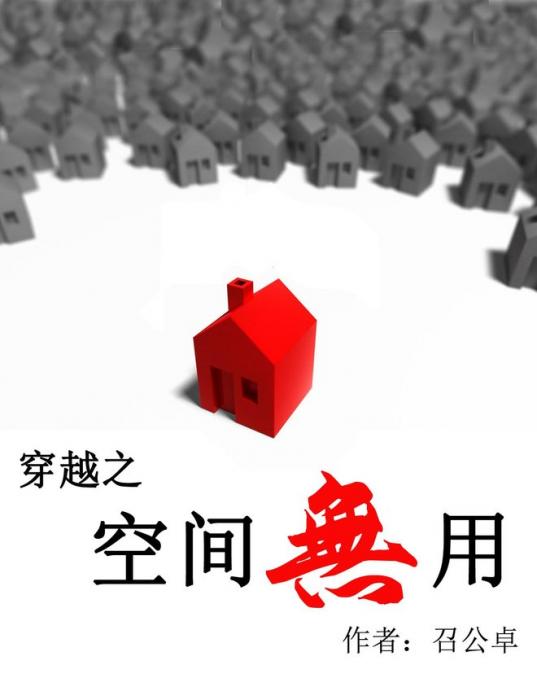 穿越之空间无用txt下载