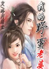 我的野蛮老婆txt下载