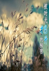 被时光揭开的秘密txt下载